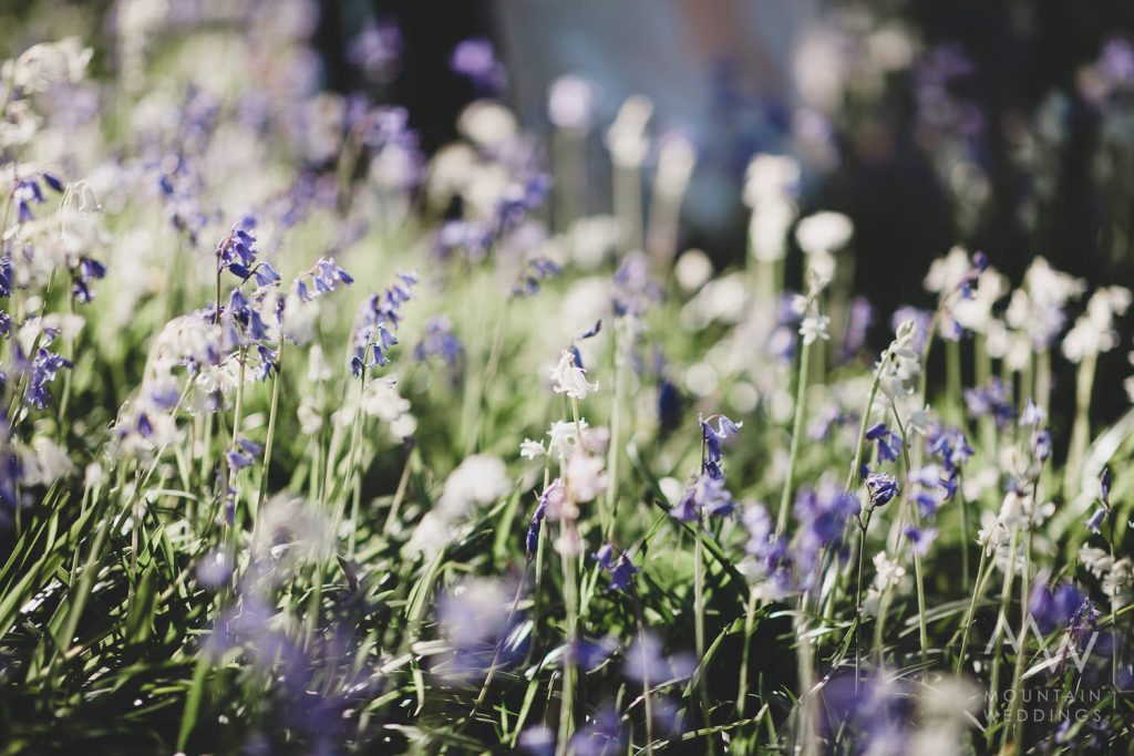 Wanaka Station Park Wedding